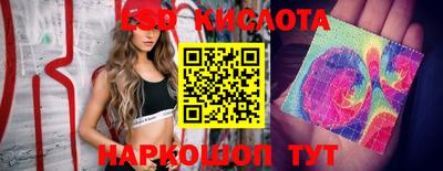 мяу мяу мука Краснознаменск