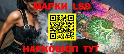 индика Краснокаменск