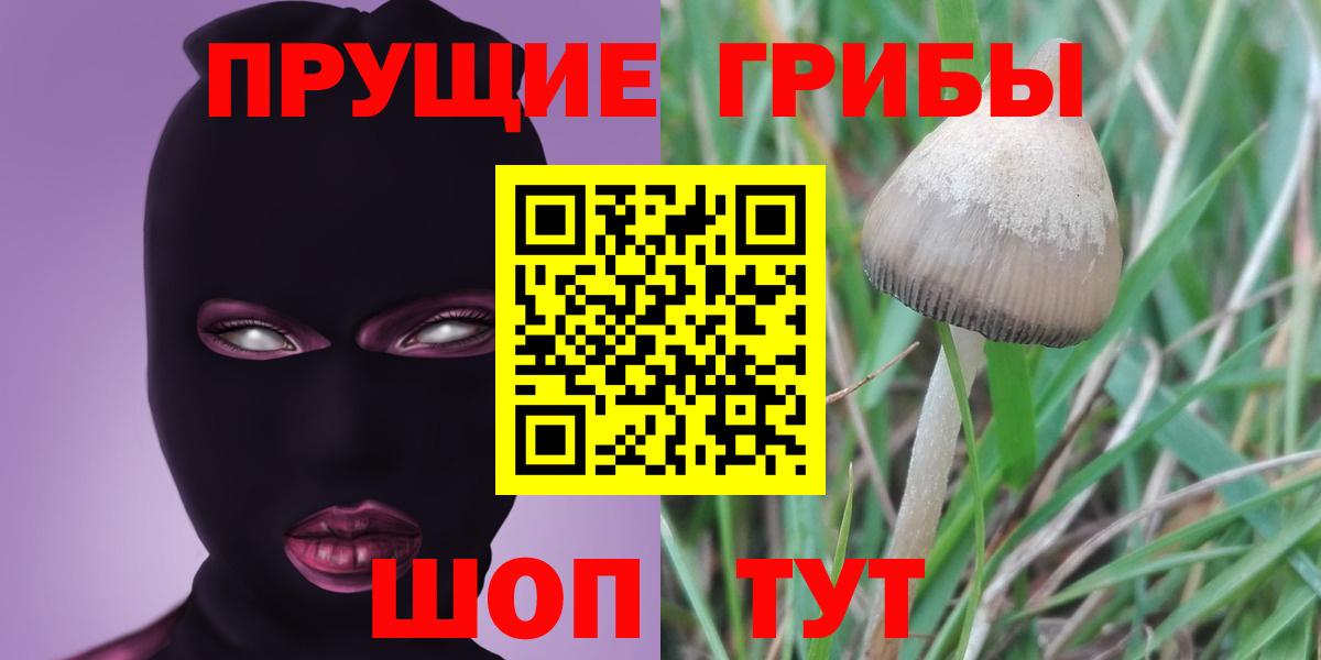 Галлюциногенные грибы MAGIC MUSHROOMS Железноводск