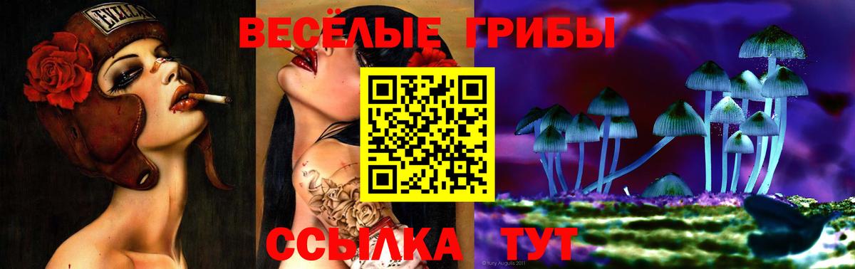 Галлюциногенные грибы Psilocybe  Галлюциногенные грибы MAGIC MUSHROOMS  Железноводск  Вход с VPN 